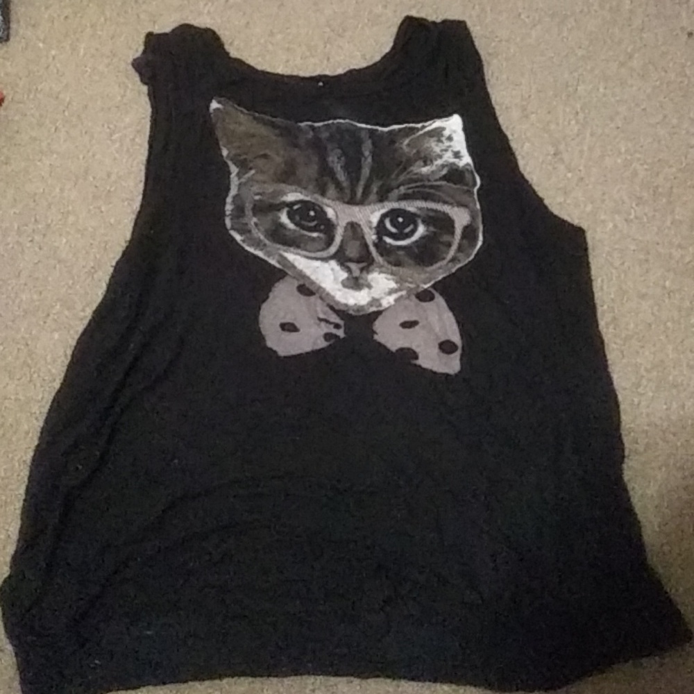 Kitten in glasses tank